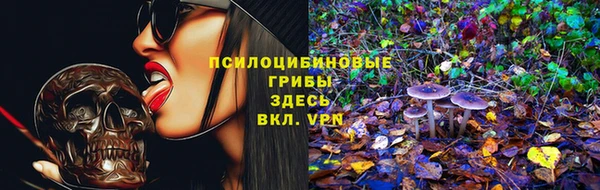 сатива Баксан
