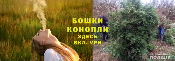 мдпв Балабаново